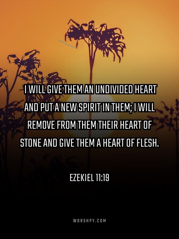 Ezekiel 1119 Scriptures on Healing the Mind