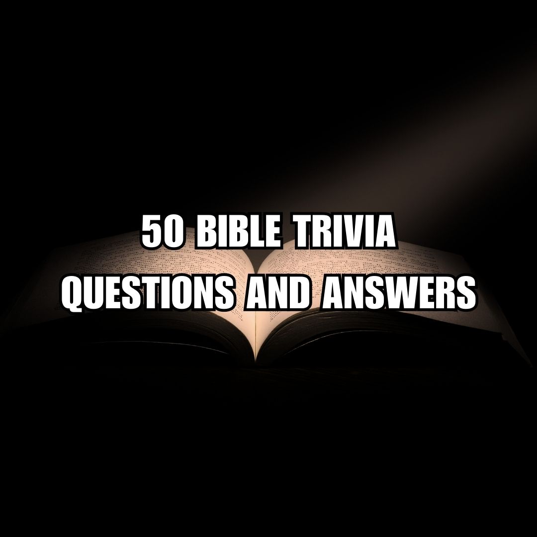 50+ Frequently Asked Bible Questions And Answers For Adults