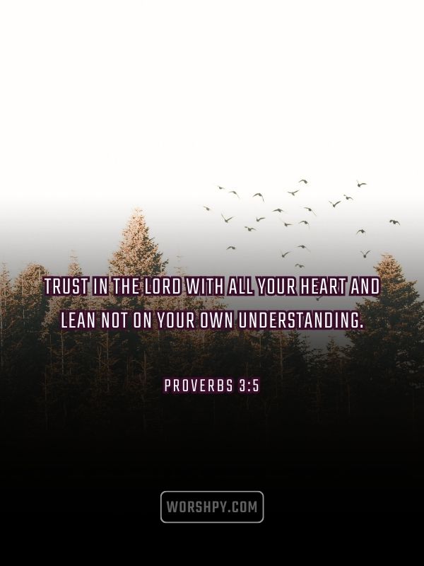 Proverbs 3 5 Bible Inspirational Quotes About Life And Struggles