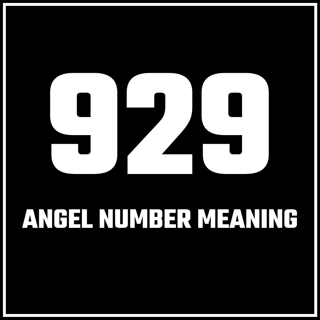 929-angel-number-the-secret-to-manifesting-your-dreams