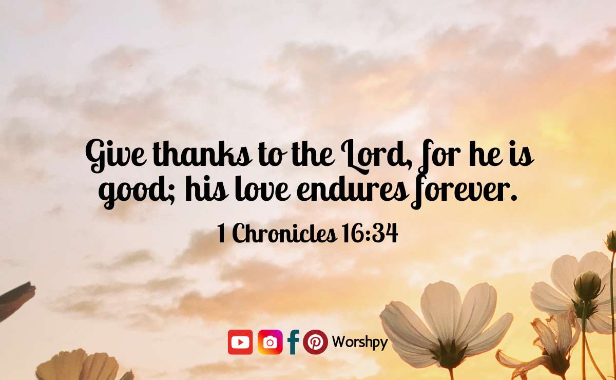 Bible Verses about Gratitude and Thankfulness